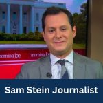 Sam Stein Journalist