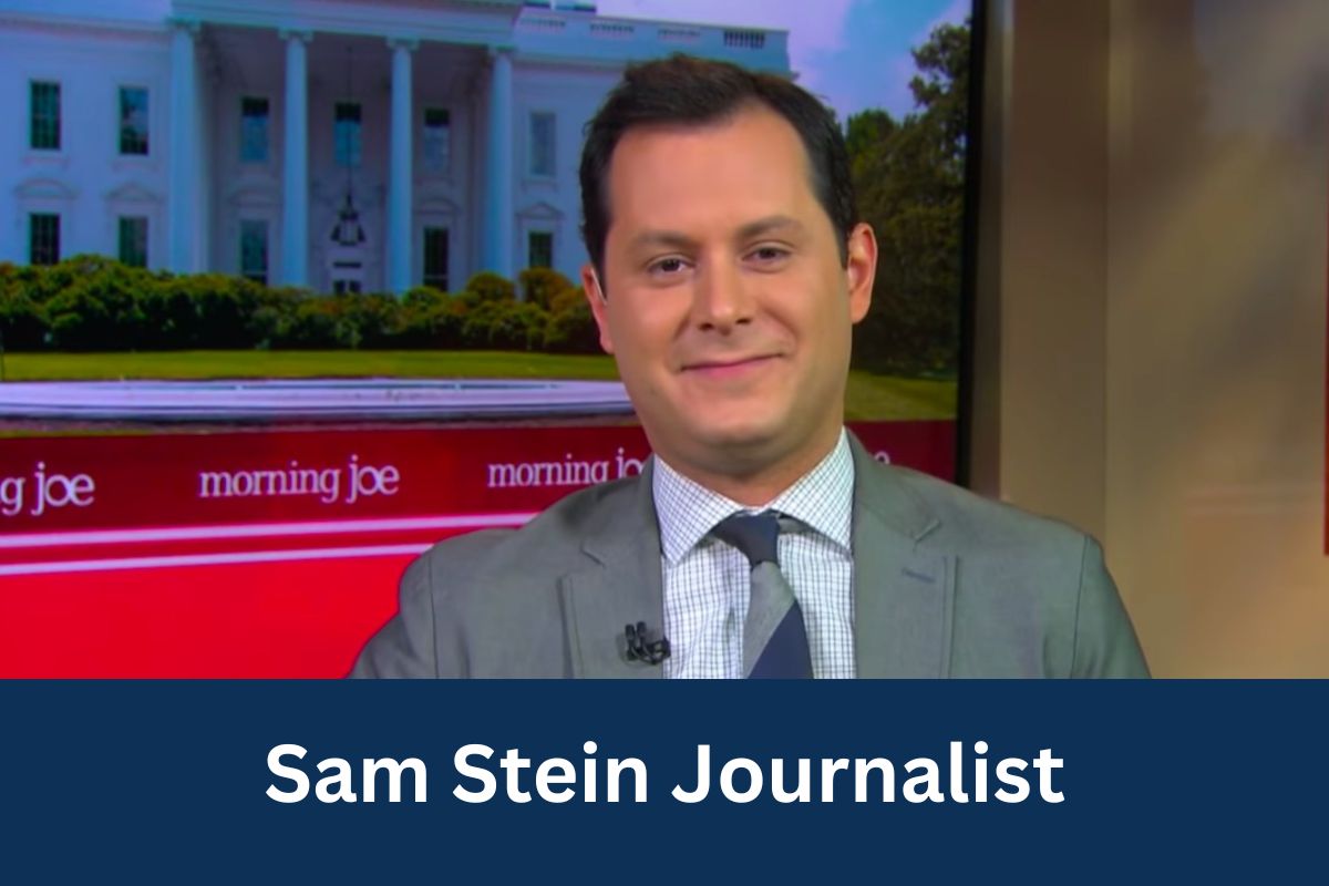 Sam Stein Journalist